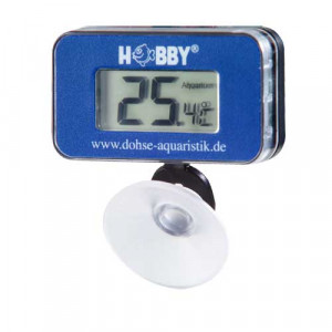 Thermomètre Numérique Hobby